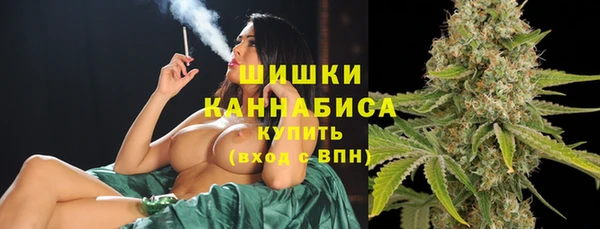 сатива Нягань