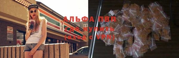 PSILOCYBIN Осташков