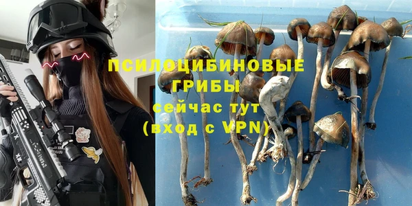 сатива Нягань