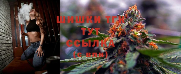 ГАЛЛЮЦИНОГЕННЫЕ ГРИБЫ Осинники