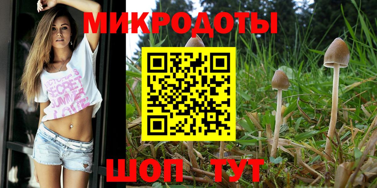 Псилоцибиновые грибы Cubensis  Галлюциногенные грибы ЛСД  Борисоглебск 