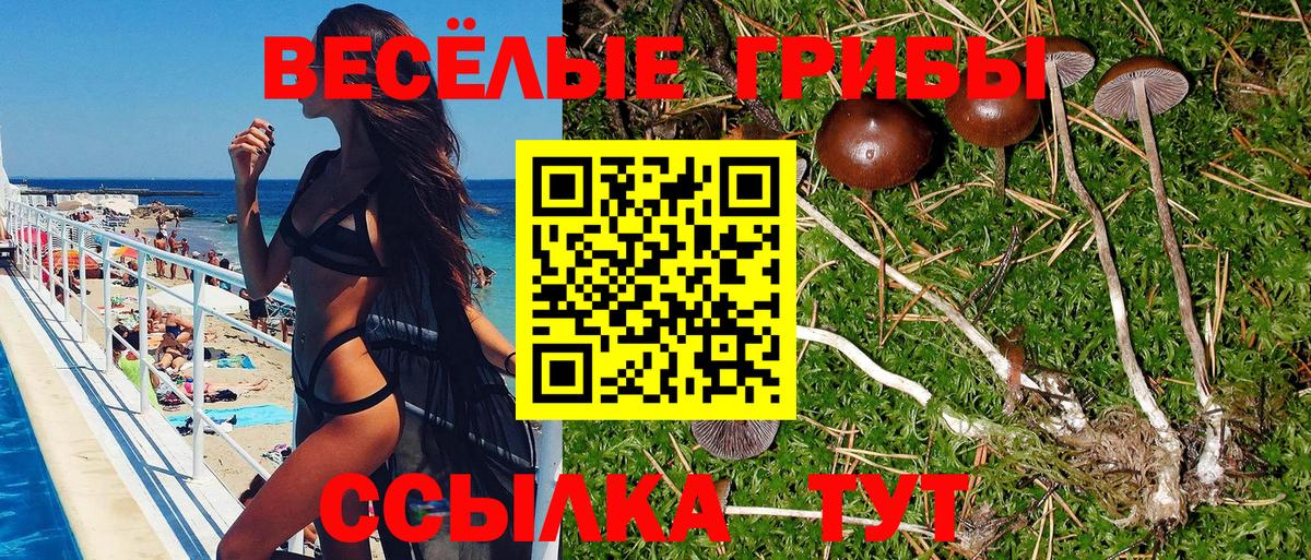 Борисоглебск  Псилоцибиновые грибы MAGIC MUSHROOMS  Вход с VPN 