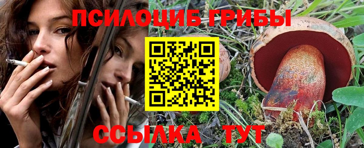 Псилоцибиновые грибы мицелий Борисоглебск